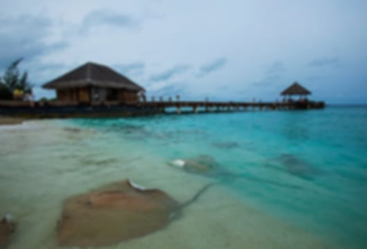 Energizing 10 Nights Taj Coral Reef Package