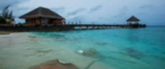 Energizing 10 Nights Taj Coral Reef Package