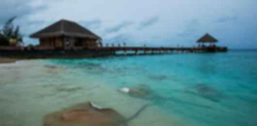 Energizing 10 Nights Taj Coral Reef Package