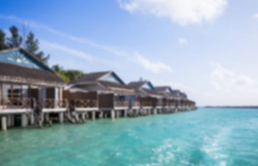 Fun-Packed 4 Nights Taj Coral Reef Tour Package
