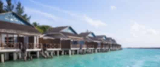 Fun-Packed 4 Nights Taj Coral Reef Tour Package