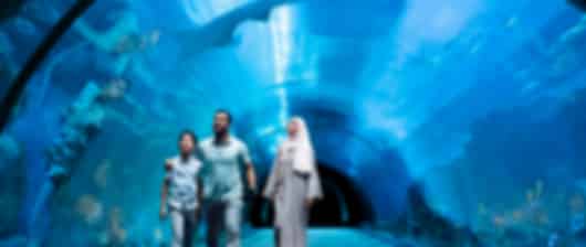 Lovely 6 Nights Dubai Tour Package from Pune for Couples