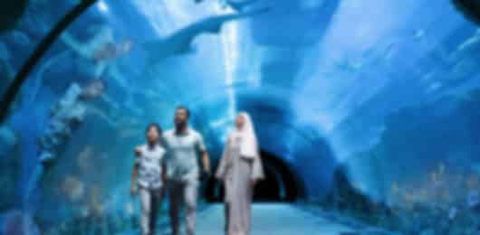 Lovely 6 Nights Dubai Tour Package from Pune for Couples