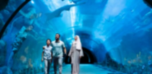 Lovely 6 Nights Dubai Tour Package from Pune for Couples