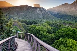 Luxury redefined : A 10 day South Africa itinerary