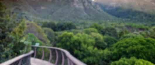 Luxury redefined : A 10 day South Africa itinerary