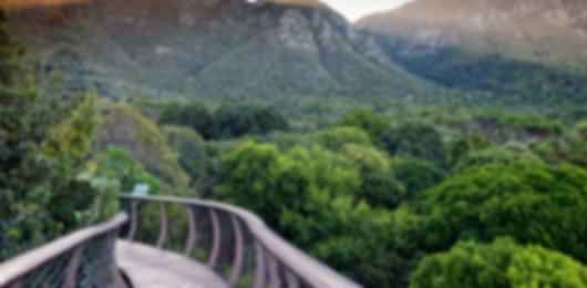 Luxury redefined : A 10 day South Africa itinerary