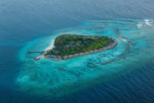 Glorious 8 Nights Taj Coral Reef Holiday Package