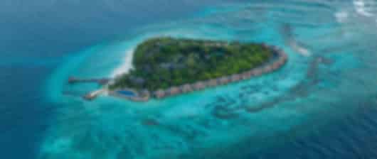 Glorious 8 Nights Taj Coral Reef Holiday Package