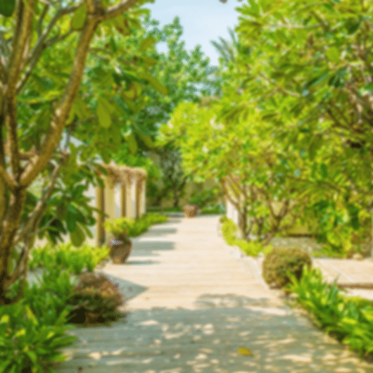 Inexpensive 10 Nights Centara Ras Fushi Holiday Package