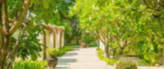 Inexpensive 10 Nights Centara Ras Fushi Holiday Package