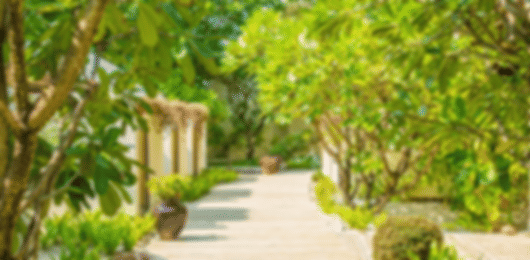 Inexpensive 10 Nights Centara Ras Fushi Holiday Package