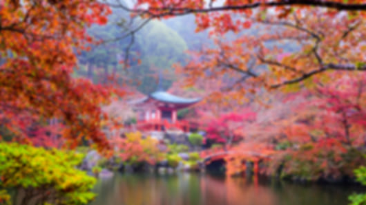 Classic 9 Nights Japan Couple Package