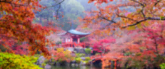 Classic 9 Nights Japan Couple Package