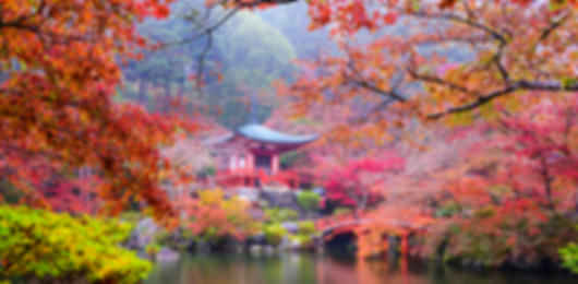 Classic 9 Nights Japan Couple Package