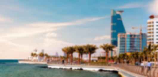 6 Nights to Riyadh and Jeddah