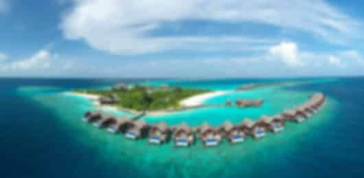 Jubilant 9 Nights Grand Park Kodhipparu Honeymoon Package