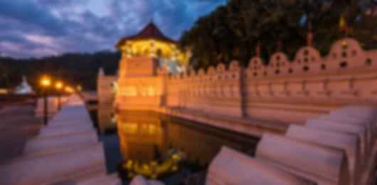 6-Night Sri Lanka Tour: Kandy, Nuwara Eliya, Bentota & Colombo Highlights
