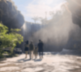 Singapore Mandai Wildlife Reserve All Parks