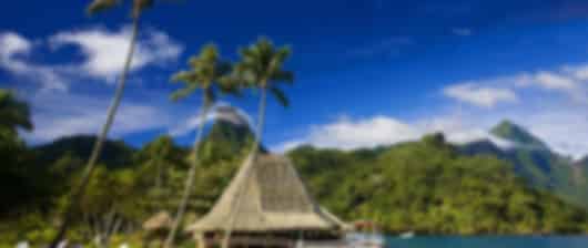 Adorable 7 Nights Honeymoon Packages From Delhi To Mauritius