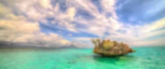 Euphoric 8 Nights Tour Packages From Delhi To Mauritius
