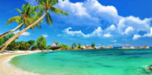 Enlivening 4 Nights Mauritius Honeymoon Package From Mumbai