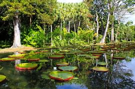 Charming 7 Nights Mauritius Group Tours From Delhi