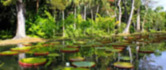 Charming 7 Nights Mauritius Group Tours From Delhi