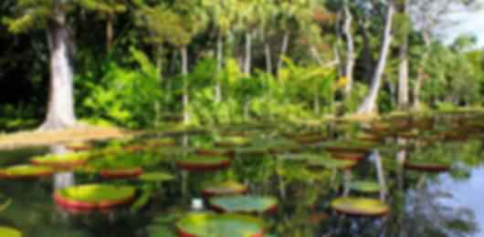 Charming 7 Nights Mauritius Group Tours From Delhi