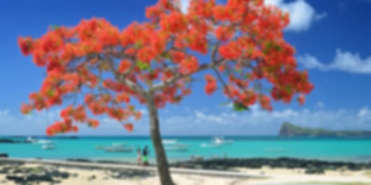 Miraculous 4 Nights Holiday Packages From Bangalore To Mauritius