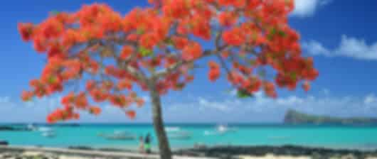 Dazzling 8 Nights Delhi To Mauritius Tour Package
