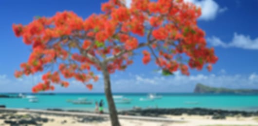 Dazzling 8 Nights Delhi To Mauritius Tour Package