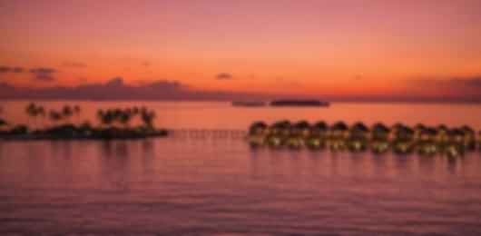 Marine Wonders : OBLU Select Lobigilli