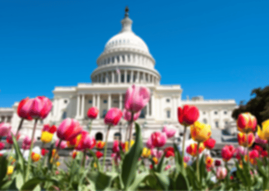 USA Special: A 8 night Miami, Orlando, Washington D.C and New York itinerary