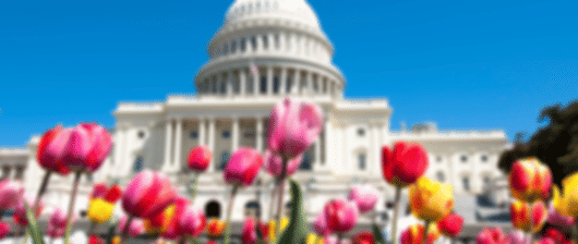 USA Special: A 8 night Miami, Orlando, Washington D.C and New York itinerary
