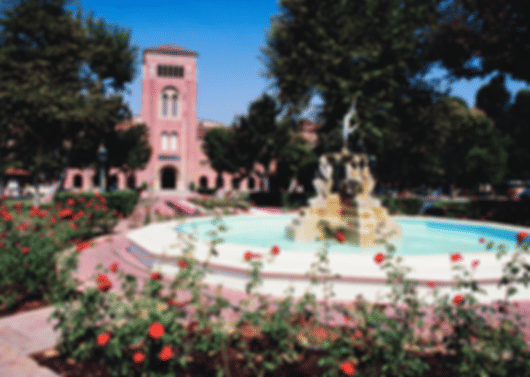 10 Days Honeymoon Trip to California