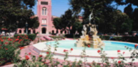 10 Days Honeymoon Trip to California