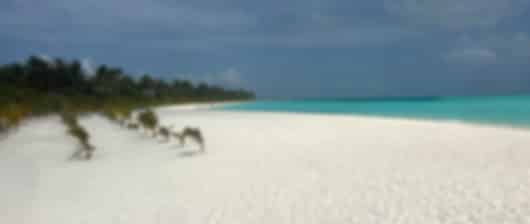 RIU Atoll Maldives Resort Packages For 4 Nights / 5 Days