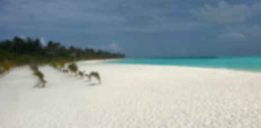 RIU Atoll Maldives Resort Packages For 4 Nights / 5 Days