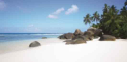 How to fall in love in 9 days