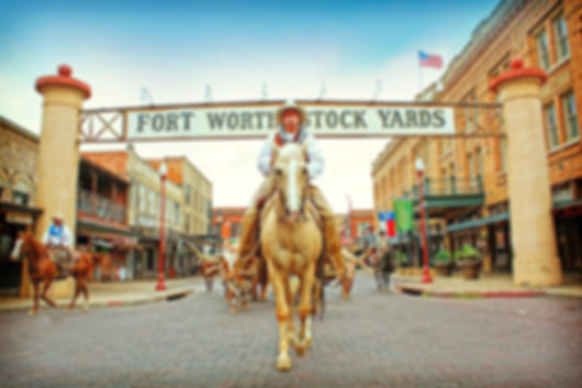 Texas Trio Family Adventure: Exploring Dallas, Austin & San Antonio