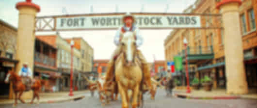 Texas Trio Family Adventure: Exploring Dallas, Austin & San Antonio