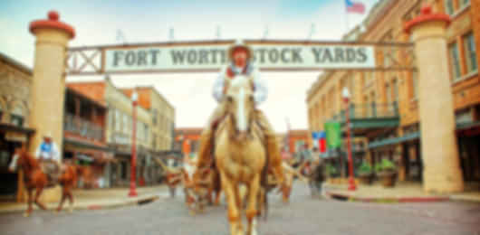 Texas Trio Family Adventure: Exploring Dallas, Austin & San Antonio