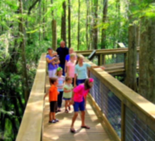 10 Days Florida Trip Itinerary for Couples
