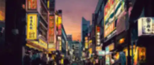 Japan 4 Nights 5 Days Family Cherry Blossom Season Itinerary