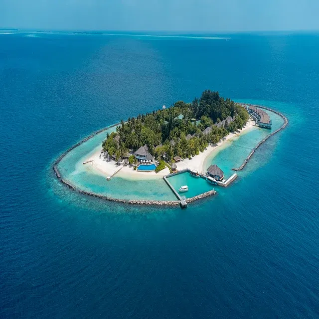 Whale Sharks at Your Doorstep — NH Kuda Rah