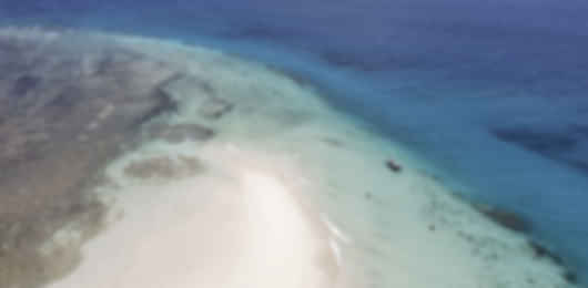 The Best of Kenya: 10 Nights from the Wild Mara to Diani’s Shores