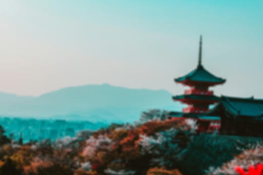 Japan in Full Cherry Blossom – 9 Nights to Osaka, Kyoto, Hakone and Tokyo