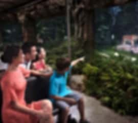 Best of Singapore- 3 Nights