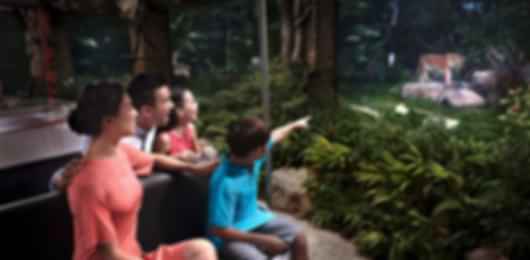 Best of Singapore- 3 Nights